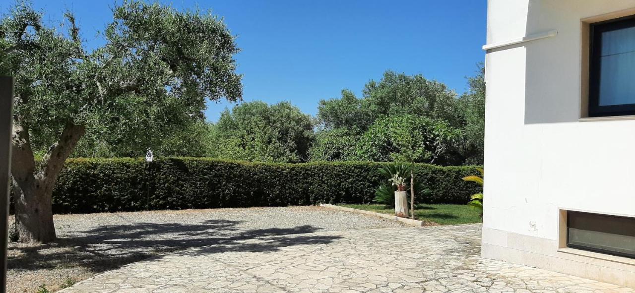 קסטלאנה גרוטה Dragonfly B&B מראה חיצוני תמונה